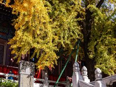 -宝通禅寺