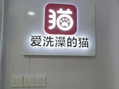 -爱洗澡的猫(天河路店)