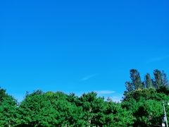 -北坞公园