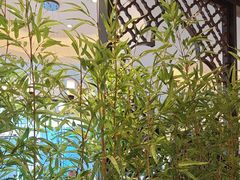 -同湘会馆(粤垦路店)