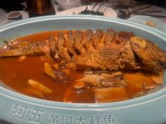 -阿五黄河大鲤鱼(英协路店)
