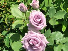 -UNI UNI(环亚凯瑟琳店)