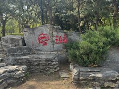 -玲珑塔公园