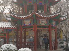 -北京中医药大学东方医院(方庄院区)