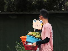 -松山湖南湖湾露营营地
