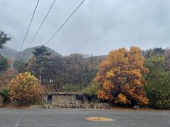 -沂蒙山旅游区云蒙景区(蒙山国家森林公园)