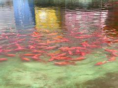 -南通洲际绿博园