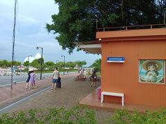 -野狸岛