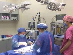 -爱妮康宠物医院·干细胞免疫细胞·肿瘤·心脏(张江店)