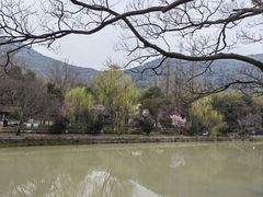-兰亭风景区