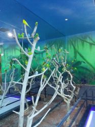 -未来动物城动物主题公园(大悦城店)