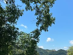 -酒仙湖景区
