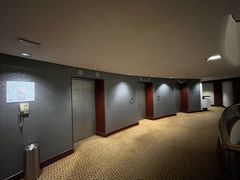 -新加坡雅庭假日酒店