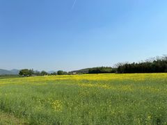 -良渚古城遗址公园