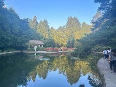 -庐山风景区花径公园