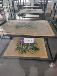 -太湖雪蚕桑文化园