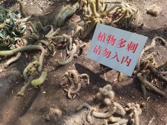 -北京植物园-展览温室