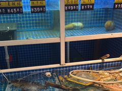 -金龙·打边炉(南京西路店)