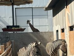 -水上乐园·欢乐世界