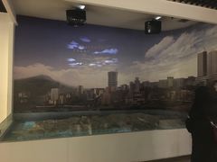 -白鹤梁水下博物馆