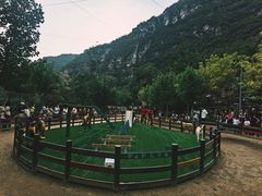 -幽岚山·童话森林