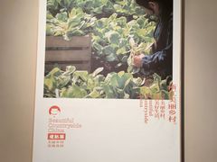 -佬肥猫·浙江乡村菜(国华广场店)
