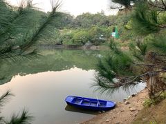 -广东惠东海龟国家级自然保护区