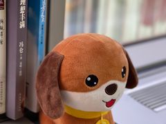 -五月花口腔诊所