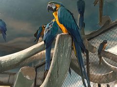 -石家庄市动物园