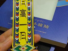 -布达拉宫