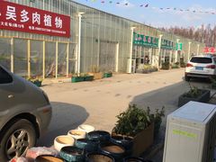 -龙大花卉苗木市场