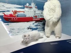 -上海中国航海博物馆