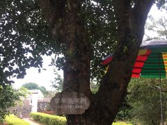 -涠洲岛-圣母堂