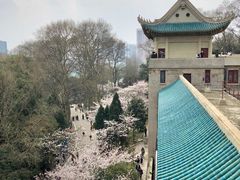 -武汉大学-樱园