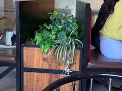 -比格比萨自助(花园路店)