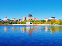 -莲花池公园