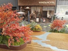 -石家庄万象城