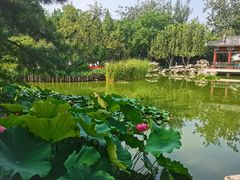 -宣武艺园