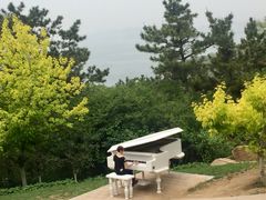 -燕窝岭