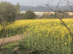 -驿舍·民國老营房院子私房菜(科学会堂店)