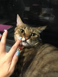 -Single·会社美甲美睫