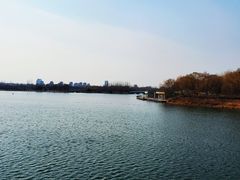 -大兴滨河森林公园