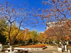 -东北大学(南湖校区)