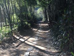 -宁波浙东大竹海景区