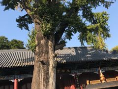 -青檀寺景区