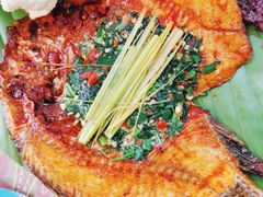 -金塔傣乡·云南民族特色菜·傣味手抓饭(金瓦路店)