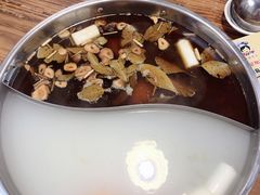 鸳鸯锅-肥婆麻辣火锅.顺德首创药材麻辣火锅(容桂店)