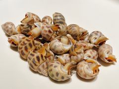 -徐记海鲜(南油永新汇店)