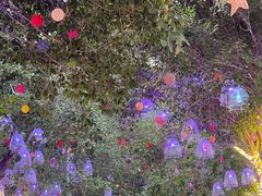 -水上乐园·欢乐世界