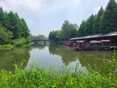 -溱湖国家湿地公园